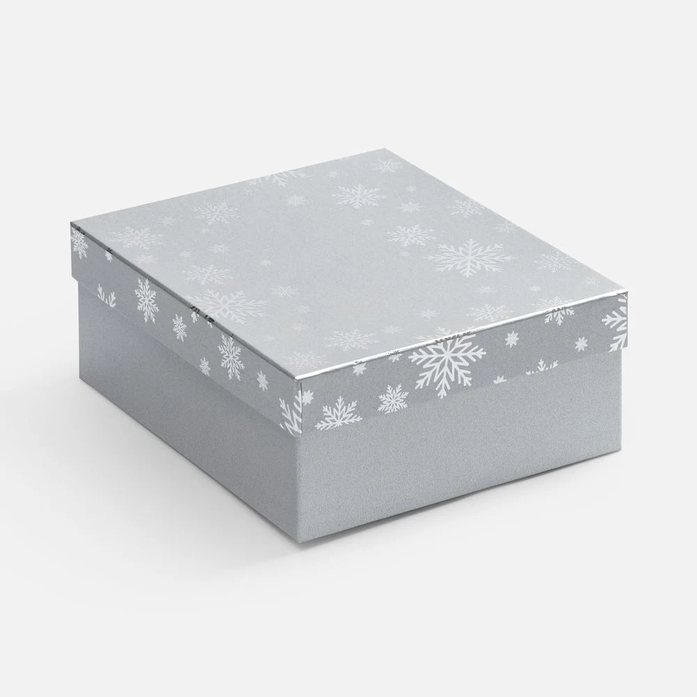 Коробка Wintry, серебристая