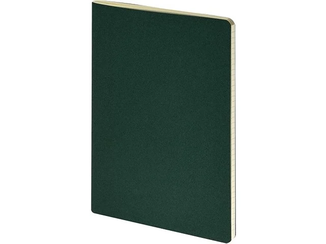 Бизнес-тетрадь А4 "Pragmatic",  40л., клетка, зеленый